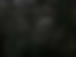 wolfgangjerker's Live Sex Cam Show
