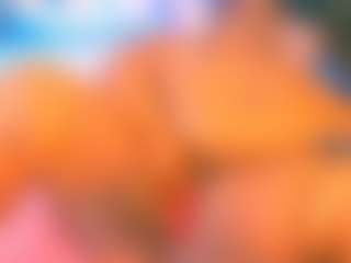 EbonyHotBuns's Live Sex Cam Show