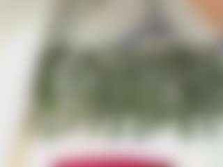 Show Live Sex Cam maxlemus