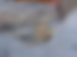 prettykateshs Live-Sex-Cam-Show