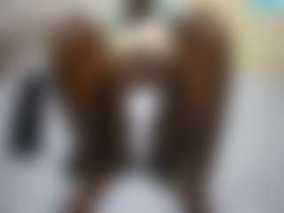 theshe's Live Sex Cam Show