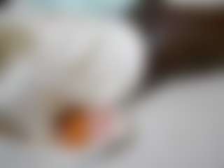 theshe's Live Sex Cam Show