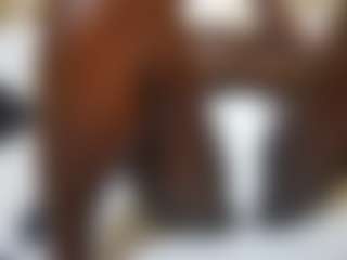 theshe's Live Sex Cam Show