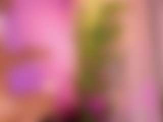 Live cam show with orchid-devourer - Interracial on Camsoda