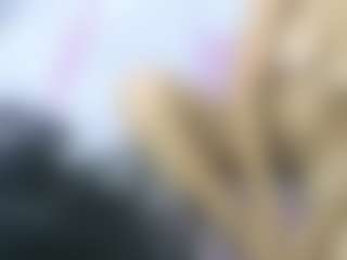 holycode's Live Sex Cam Show