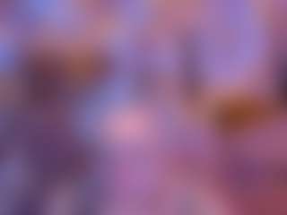 Live cam show with Michelle-Blond - Camel Toe on pussylord.com