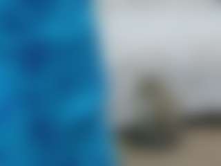 Live cam show with TreeJeanne - Caucasian on sexytreat.net