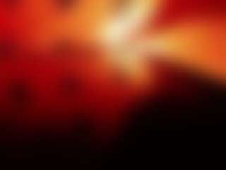 NathaliaandMateo's Live Sex Cam Show