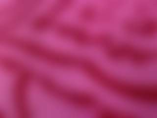Eric Colle's Live Sex Cam Show