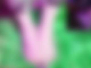 Faye-Wilde's Live Sex Cam Show