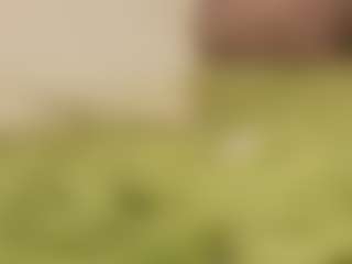 Molly's Live Sex Cam Show