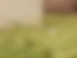 Molly's Live Sex Cam Show