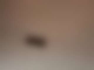 Kinkystar's Live Sex Cam Show