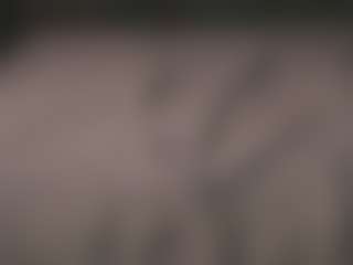 Live cam show with Isabella - Pm on alttransgirls