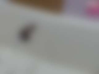 Live cam show with Sucker Drool - Facefuck on Sex Cam Show