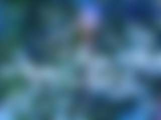 Live cam show with 666ariyasmodeo - Genital Piercings on crypto-cams