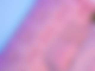 Vanessapintoo's Live Sex Cam Show