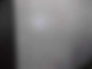 Live cam show with rosedewitt - Ejaculation on TeamSkeetLive