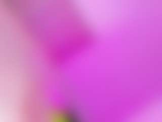 Ana-Paulet's Live Sex Cam Show