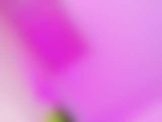 Ana-Paulet's Live Sex Cam Show