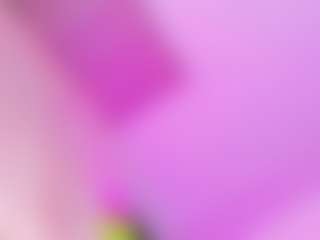 Ana-Paulet's Live Sex Cam Show