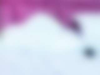 Lily Roxi's Live Sex Cam Show