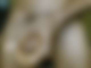 Dick-herr7's Live Sex Cam Show