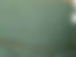 Live cam show with Dick-herr7 - Brown Eyes on Camsoda