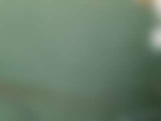 Live cam show with Dick-herr7 - Muscular on Cam Slut