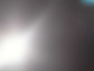 Elcarever's Live Sex Cam Show