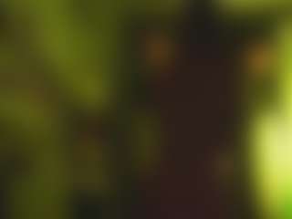 telladreamerr's Live Sex Cam Show