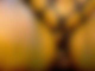 OpraxBell's Live Sex Cam Show