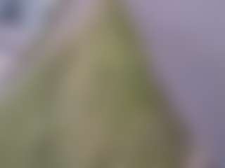 ffiranek89's Live Sex Cam Show