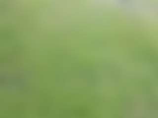 ffiranek89's Live Sex Cam Show