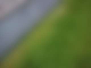 ffiranek89's Live Sex Cam Show