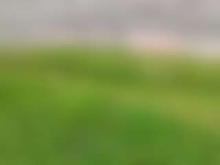 ffiranek89's Live Sex Cam Show