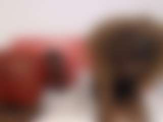 Live cam show with freakydona - No Smoking on Hubzter Live