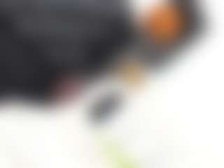 janestones's Live Sex Cam Show