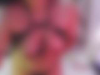 giselslut's Live Sex Cam Show