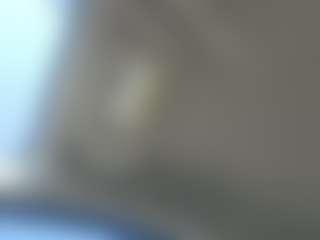 Edging precum leak ass milking's Live Sex Cam Show