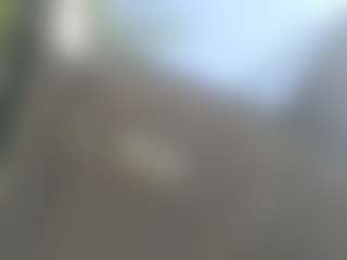 Show de cam en direct de Edging precum leak ass milking