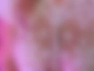 LexyEva's Live Sex Cam Show