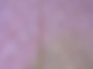 LexyEva's Live Sex Cam Show