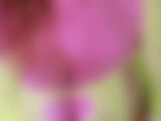 LexyEva's Live Sex Cam Show