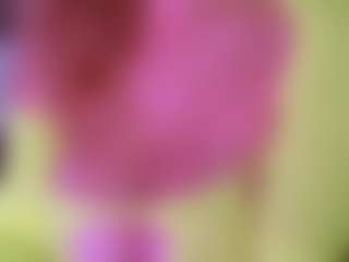 LexyEva's Live Sex Cam Show