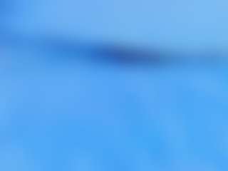 Live cam show with ani-shaa - Ride Torso on Camsoda