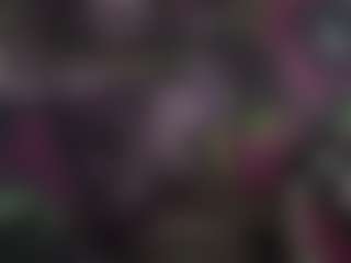 Show de Sexo ao Vivo na Câmera de Lets