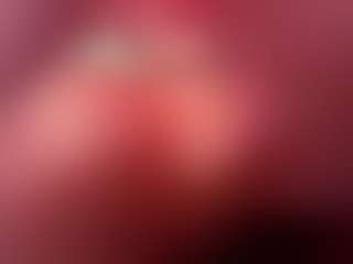AlliceLover's Live Sex Cam Show