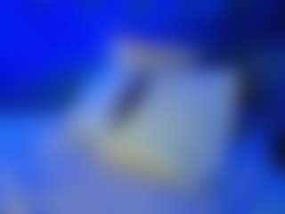 BellatrixSoul's Live Sex Cam Show