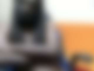 Live cam show with Darkkras - Orgasm on Cam Slut